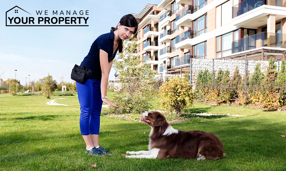 Pet Friendly Vacation Rental Management Orlando: Welcome Your Furry Guests